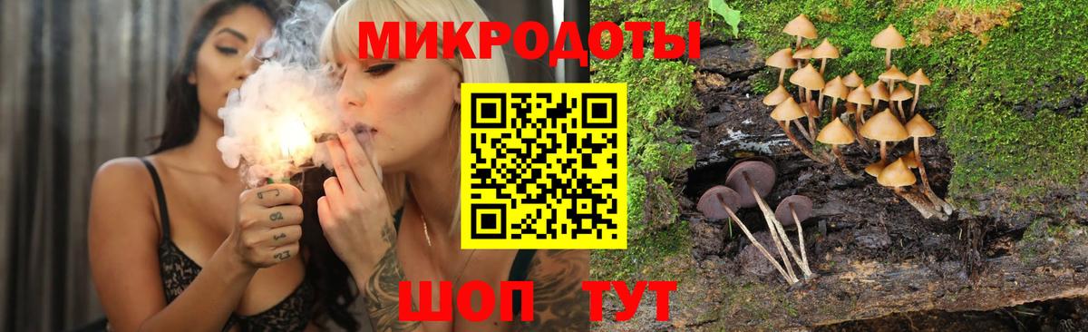 Псилоцибиновые грибы Cubensis Нижний Тагил
